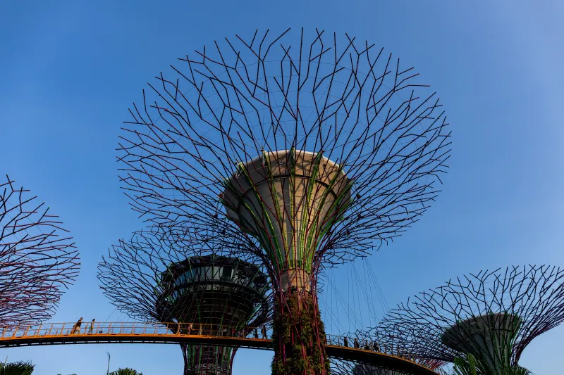 Supertrees at Gardens by the Bay, Singapore